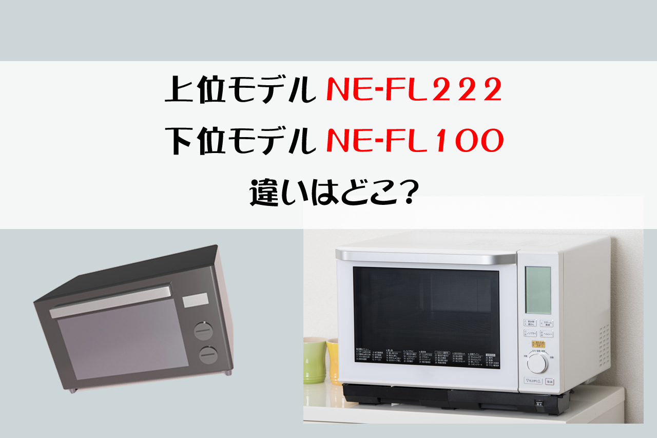 NE-FL222-100