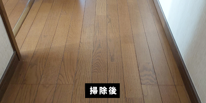 モップ掛けをした後